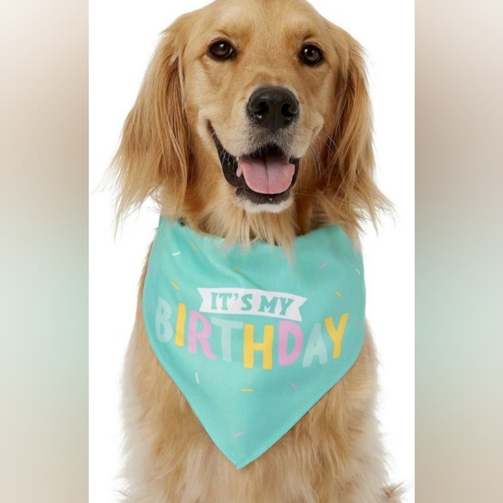 EUC Dog or Cat Birthday Bandanas and Birthday Hats - Size XS/S - Picture 2 of 10